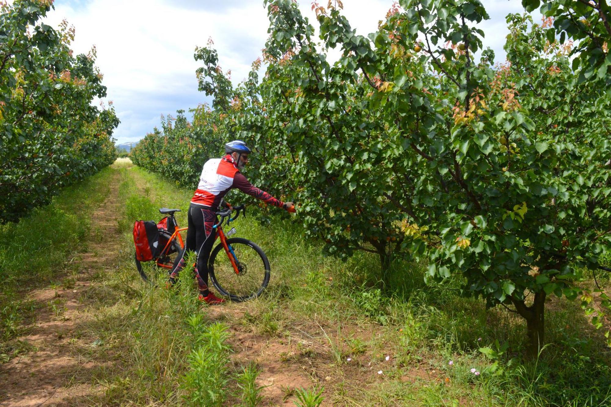 Azienda Agrituristica Il Pago Nova Siri Zewnętrze zdjęcie