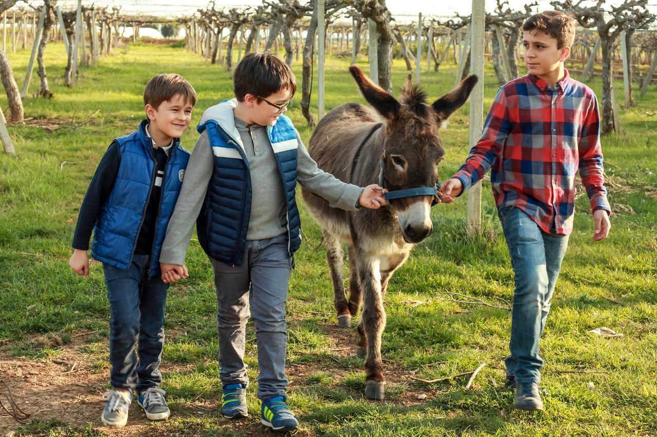 Azienda Agrituristica Il Pago Nova Siri Zewnętrze zdjęcie