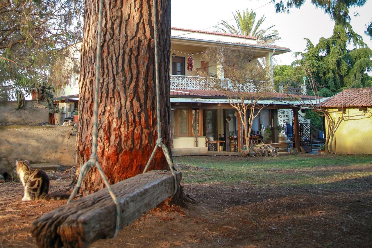 Azienda Agrituristica Il Pago Nova Siri Zewnętrze zdjęcie